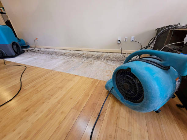 Professional Water Damage Repair technician working in Albany, KY